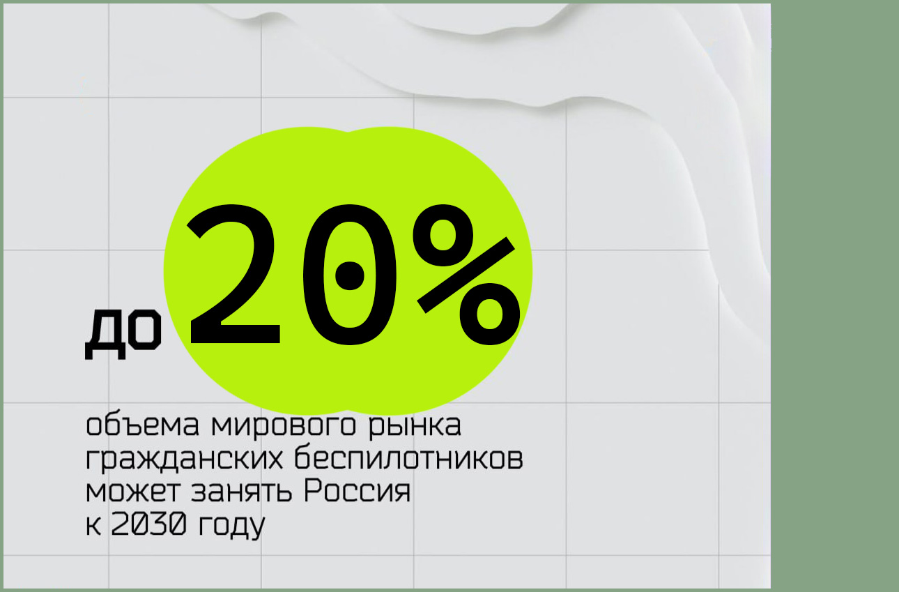 Россия может занять до 20% рынка беспилотников в ближайшие годы.