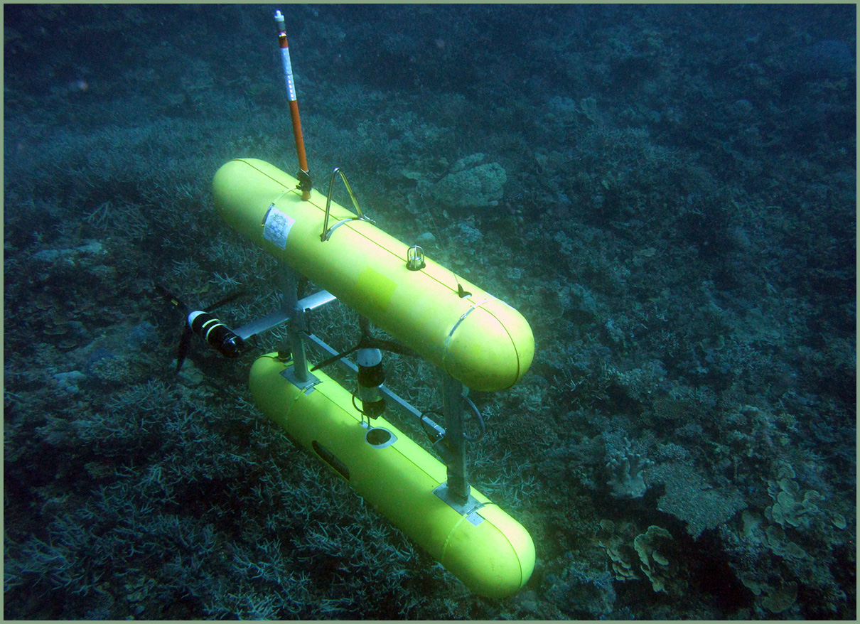 В России разработали подводный носитель беспилотников